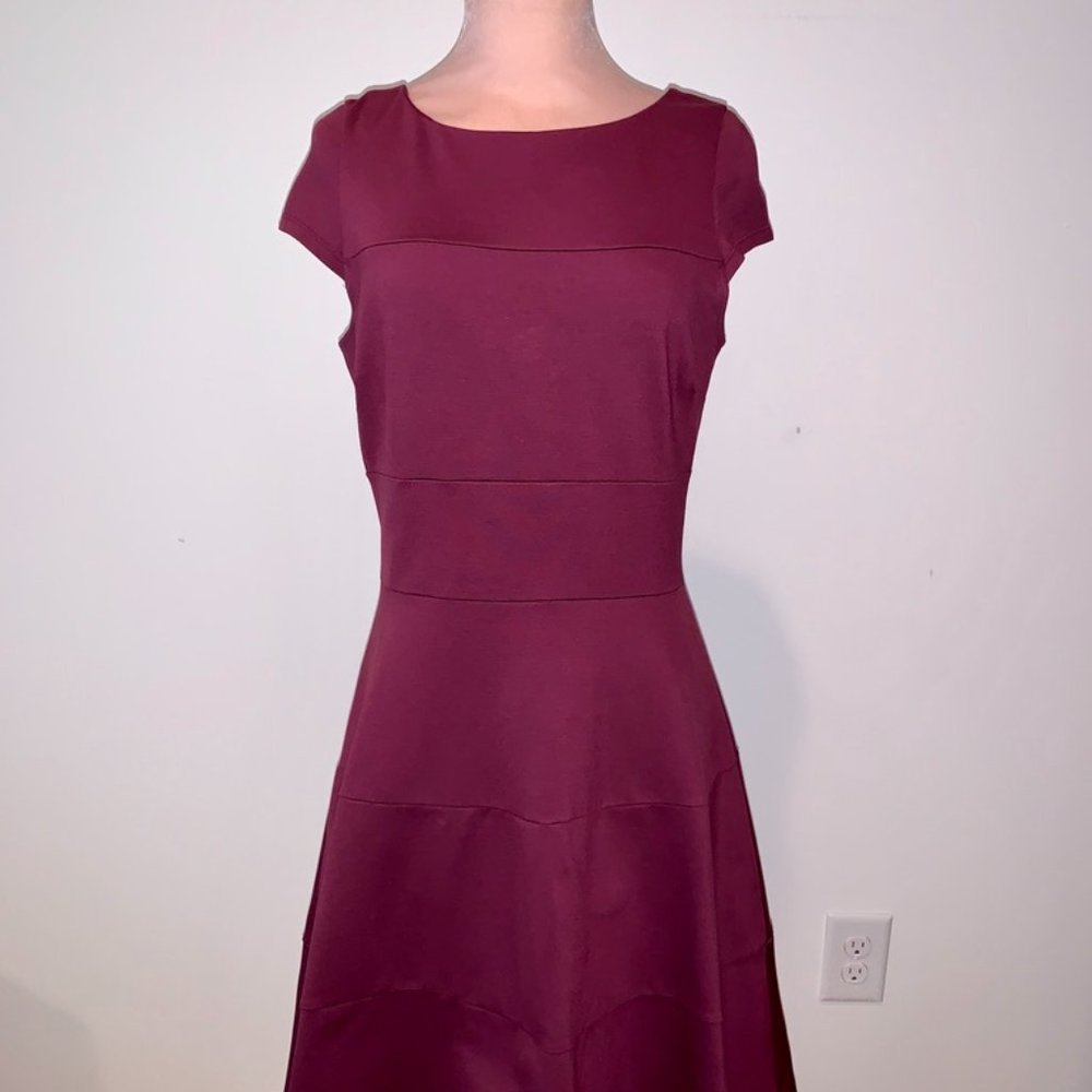 Banana Republic Maroon Fit and Flare Dress